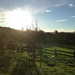 El Calero *