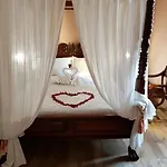 El Calero Oviedo